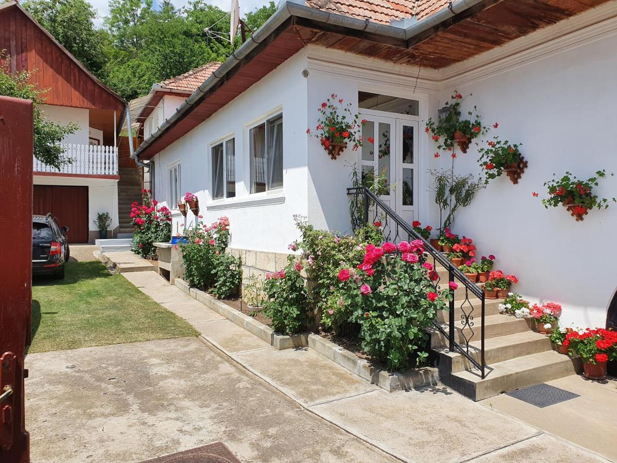 Bed and Breakfast Rózsa Panzió Rimetea Exterior foto