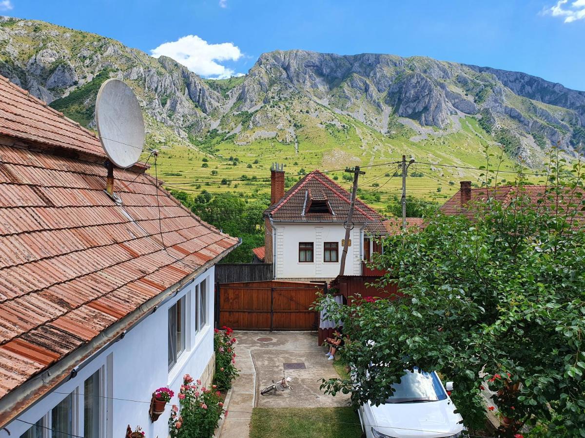 Bed and Breakfast Rózsa Panzió Rimetea Exterior foto